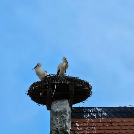 Casa Ciconia - Ueber Den Daechern Der Altstadt בית נופש