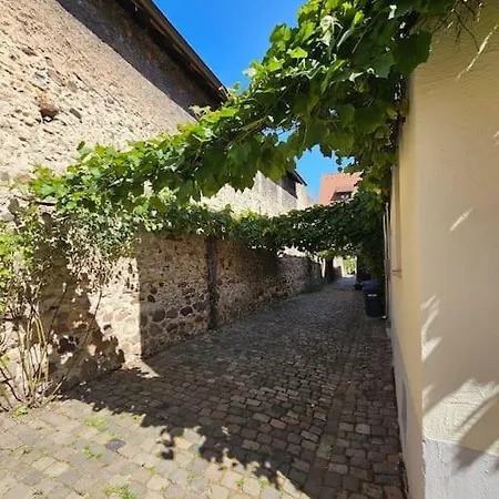 Casa Ciconia - Ueber Den Daechern Der Altstadt * Freinsheim